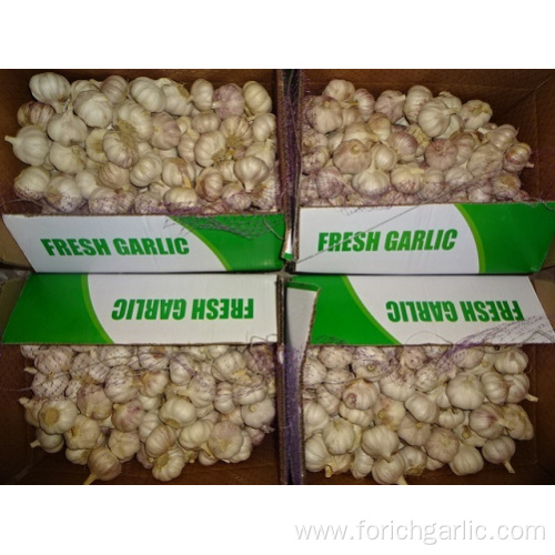 Normal White Garlic Crop 2019 From Jinxiang